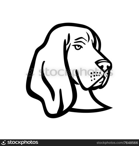 Mascot black and white illustration of head of a Basset Hound or scent hound, a short-legged dog breed of the scent hound family used for hunting, viewed from front on isolated background in retro style.. Head of a Basset Hound or Scent Hound Side View Mascot Retro Black and White