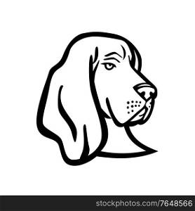 Mascot black and white illustration of head of a Basset Hound or scent hound, a short-legged dog breed of the scent hound family used for hunting, viewed from front on isolated background in retro style.. Head of a Basset Hound or Scent Hound Side View Mascot Retro Black and White