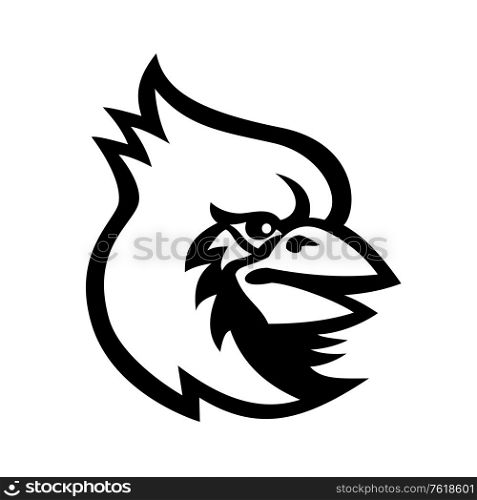 Mascot black and white illustration of head of a Cardinal, in Cardinalidae family, a passerine bird found in America also known as cardinal-grosbeak and cardinal-bunting on isolated background in retro style.. Cardinal Bird Head Mascot Black and White