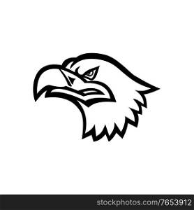 Mascot black and white illustration of head of a Eurasian sea eagle, also known as gray sea eagle, white-tailed eagle, ern or erne viewed from side on isolated background in retro style.. Head of a Eurasian Sea Eagle or Gray Sea Eagle Side View Mascot Black and White