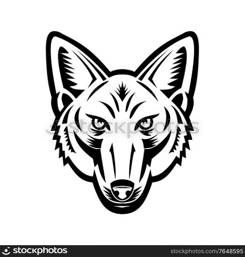 Mascot black and white illustration of head of a Jackal or sometimes called American jackal viewed from front on isolated background in retro woodcut style.. Head of American Jackal Front View Retro Woodcut Black and White