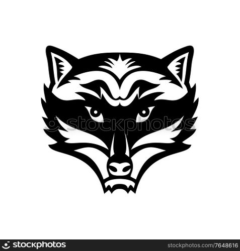 Mascot black and white illustration of head of an angry North American raccoon, northern raccoon, or racoon viewed from front on isolated background in retro style.. Head of an Angry North American Raccoon Front View Mascot Black and White