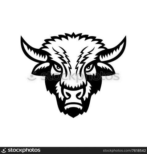 Mascot icon illustration of an American bison or American buffalo viewed from front on isolated background in retro black and white style.. Bison or American Buffalo Head Front View Sports Mascot Black and White