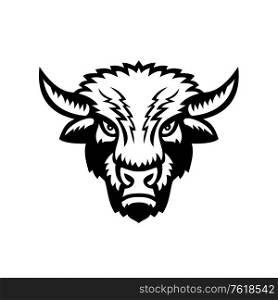 Mascot icon illustration of an American bison or American buffalo viewed from front on isolated background in retro black and white style.. Bison or American Buffalo Head Front View Sports Mascot Black and White