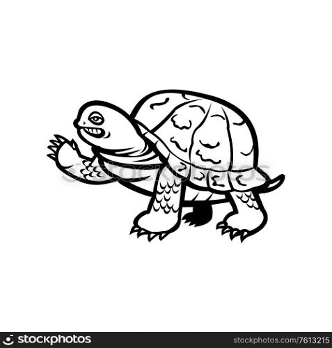 Mascot icon illustration of an eastern box turtle or land turtle, waving viewed from side on isolated background done in Black and White retro style.. Eastern Box Turtle Waving Black and White