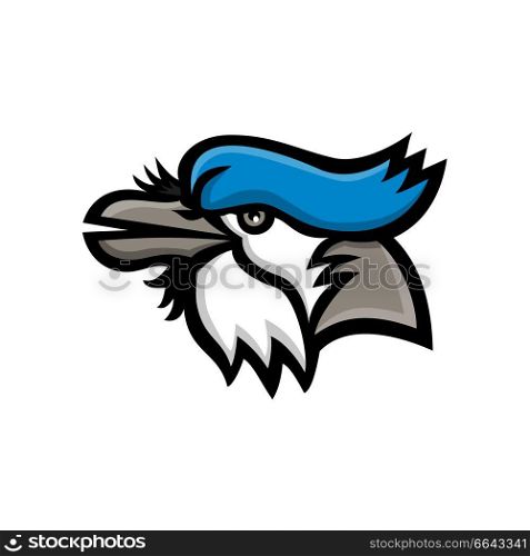 Mascot icon illustration of head of a blue jay (Cyanocitta cristata), a passerine bird in the family Corvidae, native to North America looking up viewed from side on isolated background in retro style.. Blue Jay Head Mascot