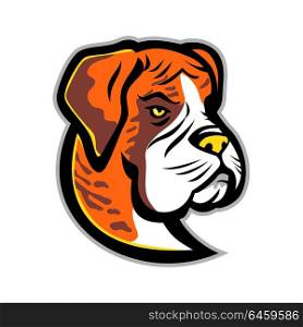 Mascot icon illustration of head of a Boxer dog, German Boxer or Deutscher Boxer, a medium-sized, short-haired breed of dog viewed from front on isolated background in retro style.. Boxer Dog Mascot