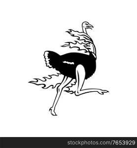 Mascot illustration of a common ostrich, a species of large flightless bird native to Africa, running while on fire viewed from side on isolated background in retro black and white style.. Common Ostrich Running While on Fire Viewed from Side Mascot Black and White