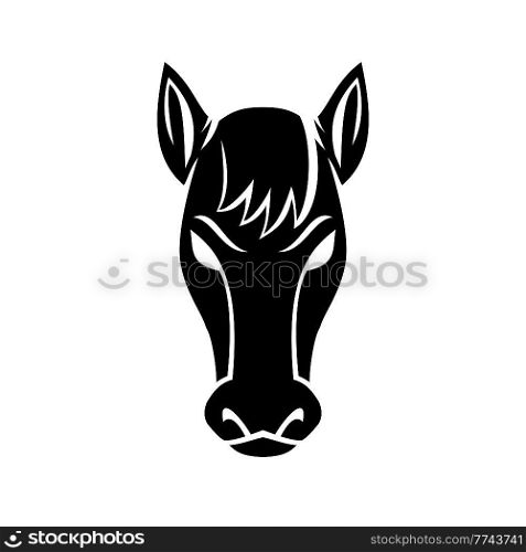 Mascot illustration of a head of a bronco mustang stallion or horse viewed from front on isolated background in retro black and white style.. Angry Bronco Mustang Stallion or Horse Front View Mascot Black and White 
