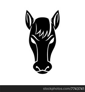Mascot illustration of a head of a bronco mustang stallion or horse viewed from front on isolated background in retro black and white style.. Angry Bronco Mustang Stallion or Horse Front View Mascot Black and White 
