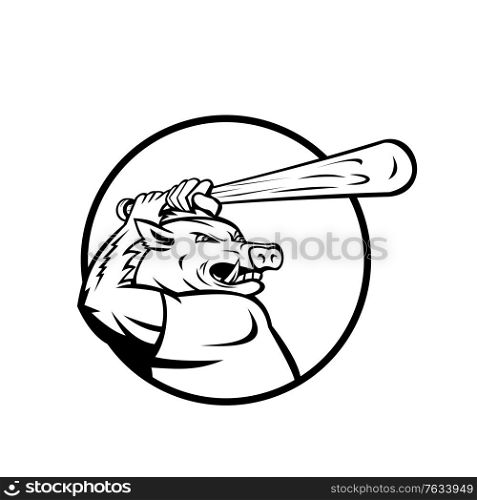 Mascot illustration of a razorback, wild boar or hog player with baseball bat batting viewed from side set inside circle on isolated background in retro black and white style.. Razorback Wild Boar or Hog with Baseball Bat Batting Circle Mascot Black and White