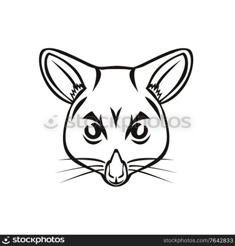 Mascot illustration of head of a common brushtail possum Trichosurus vulpecula, a nocturnal, semi-arboreal marsupial of the family Phalangeridae, native to Australia viewed from front in retro style.. Head of Common Brushtail Possum Trichosurus Vulpecula Semi-Arboreal Marsupial Mascot Black and White