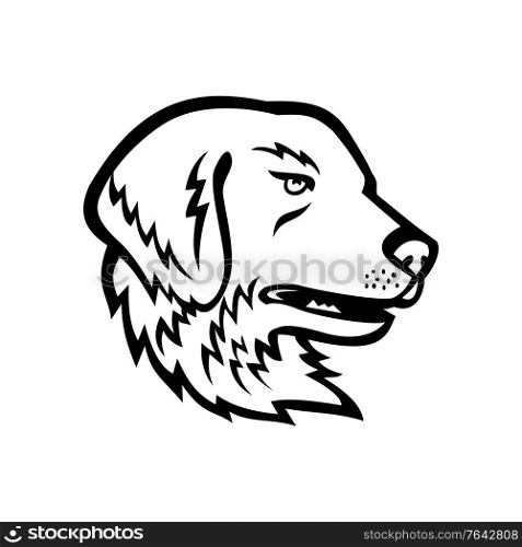 Mascot illustration of head of a Great Pyrenees or Pyrenean Mountain Dog, a large breed of dog used as a livestock guardian dog viewed from side on isolated background in retro black and white style.. Head of Great Pyrenees Dog or Pyrenean Mountain Dog Black and White Mascot