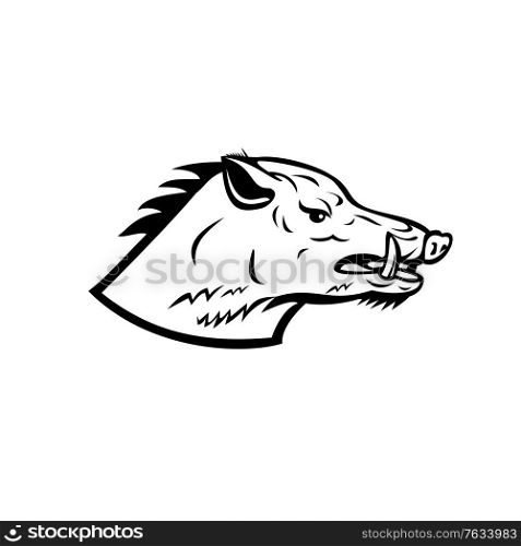 Mascot illustration of head of a wild boar, Sus scrofa, wild swine, common wild pig, a suid native to much of the Palearctic viewed from side on isolated background in retro black and white style.. Wild Boar Wild Swine Common Wild Pig Head Side Mascot Black and White