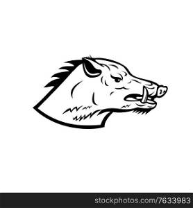 Mascot illustration of head of a wild boar, Sus scrofa, wild swine, common wild pig, a suid native to much of the Palearctic viewed from side on isolated background in retro black and white style.. Wild Boar Wild Swine Common Wild Pig Head Side Mascot Black and White