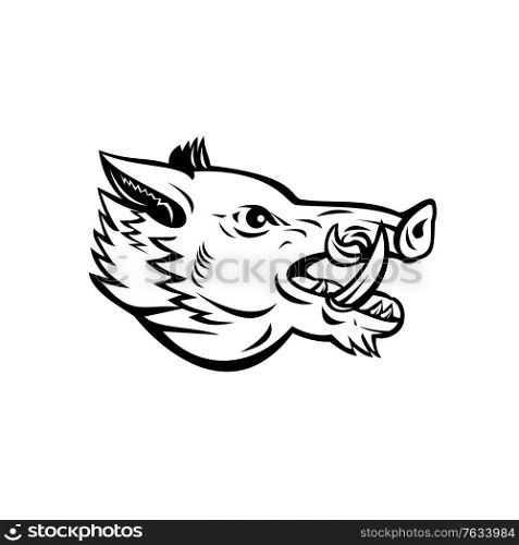 Mascot illustration of head of a wild boar, Sus scrofa, wild swine, common wild pig, a suid native to much of the Palearctic viewed from side on isolated background in retro black and white style.. Wild Boar Sus Scrofa Wild Swine Common Wild Pig Head Side Mascot Black and White
