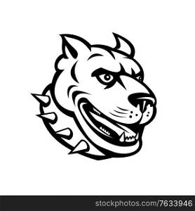 Mascot illustration of head of an American pit bull terrier or pitbull, a type of dog descended from bulldog and terrier, with collar viewed from side done in retro black and white style.. Head of an American Pit Bull Terrier or Pitbull Side Mascot Black and White