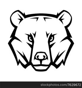 Mascot stylized bear head. Illustration or icon of wild animal.. Mascot stylized bear head.