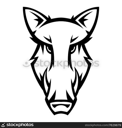 Mascot stylized boar head. Illustration or icon of wild animal.. Mascot stylized boar head.