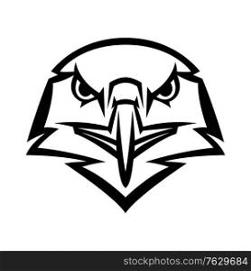 Mascot stylized eagle head. Illustration or icon of wild bird.. Mascot stylized eagle head.