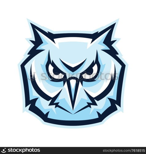 Mascot stylized owl head. Illustration or icon of wild bird.. Mascot stylized owl head.