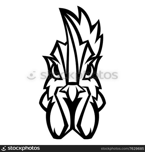Mascot stylized rooster head. Illustration or icon of domestic bird.. Mascot stylized rooster head.