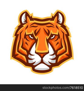 Mascot stylized tiger head. Illustration or icon of wild animal.. Mascot stylized tiger head.