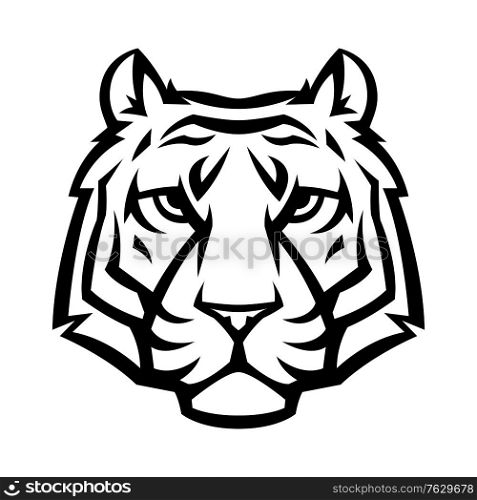 Mascot stylized tiger head. Illustration or icon of wild animal.. Mascot stylized tiger head.