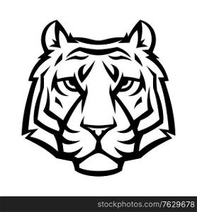 Mascot stylized tiger head. Illustration or icon of wild animal.. Mascot stylized tiger head.