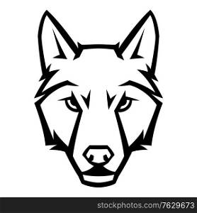 Mascot stylized wolf head. Illustration or icon of wild animal.. Mascot stylized wolf head.