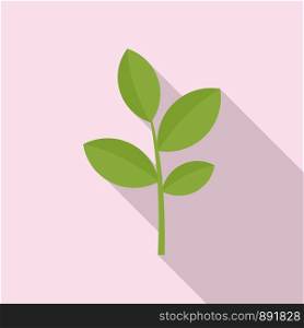 Matcha plant icon. Flat illustration of matcha plant vector icon for web design. Matcha plant icon, flat style