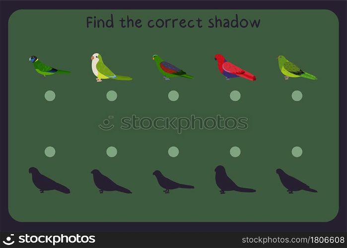 Matching children educational game with parrots - australian ringneck, quaker, red winged, eclectus, eastern grand. Find the correct shadow. Vector illustration.. Matching children educational game with parrots - australian ringneck, quaker, red winged, eclectus, eastern grand. Find the correct shadow.