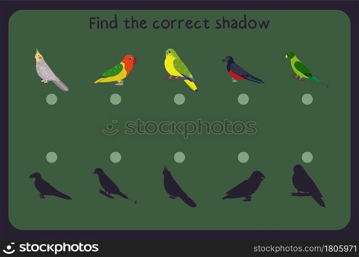 Matching children educational game with parrots - cockatiel, lovebird, neophema, pesquets, racket tail. Find the correct shadow. Vector illustration.. Matching children educational game with parrots - cocatiel, lovebird, neophema, pesquets, racket tail. Find the correct shadow.