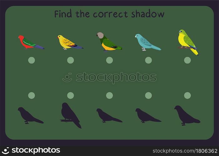 Matching children educational game with parrots - ectectus, regent, senegal, barred, neophema. Find the correct shadow. Vector illustration.. Matching children educational game with parrots - ectectus, regent, senegal, barred, neophema. Find the correct shadow.
