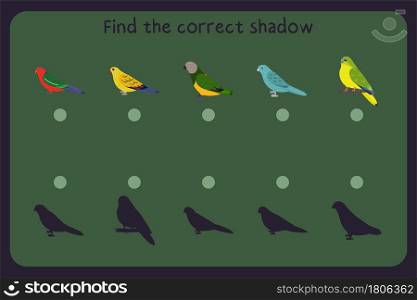 Matching children educational game with parrots - ectectus, regent, senegal, barred, neophema. Find the correct shadow. Vector illustration.. Matching children educational game with parrots - ectectus, regent, senegal, barred, neophema. Find the correct shadow.