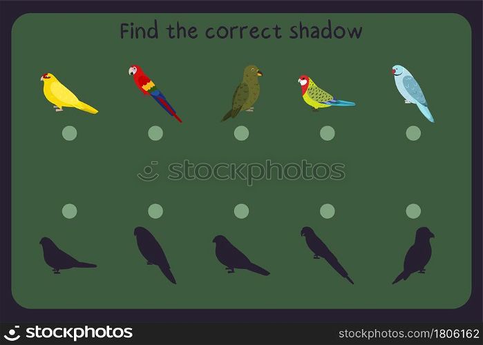 Matching children educational game with parrots - kakariki, macaw, kea, rosella, rose ringed. Find the correct shadow. Vector illustration.. Matching children educational game with parrots - kakariki, macaw, kea, rosella, rose ringed. Find the correct shadow.