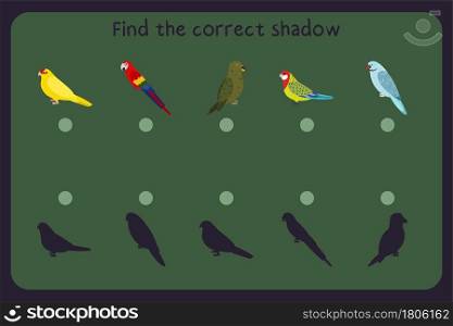 Matching children educational game with parrots - kakariki, macaw, kea, rosella, rose ringed. Find the correct shadow. Vector illustration.. Matching children educational game with parrots - kakariki, macaw, kea, rosella, rose ringed. Find the correct shadow.
