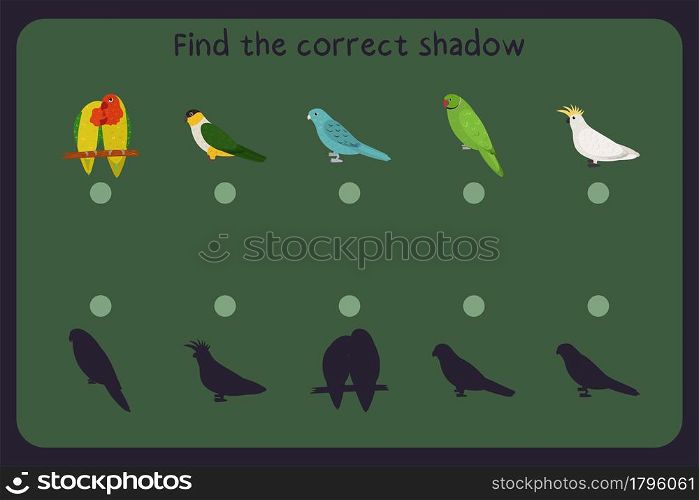 Matching children educational game with parrots - lovebird, black headed, barred parakeet, rose ringed, cockatoo. Find the correct shadow. Vector illustration.. Matching children educational game with parrots - lovebird, black headed, barred parakeet, rose ringed, cockatoo. Find the correct shadow.