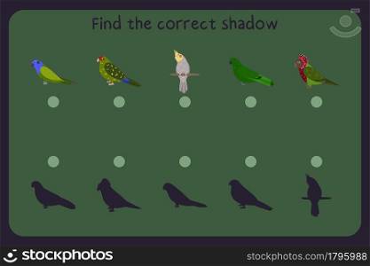 Matching children educational game with parrots - pionus, kakariki, cockatiel, eclectus, red fan parrot. Find the correct shadow. Vector illustration.. Matching children educational game with parrots - pionus, kakariki, cocatiel, eclectus, red fan parrot. Find the correct shadow.