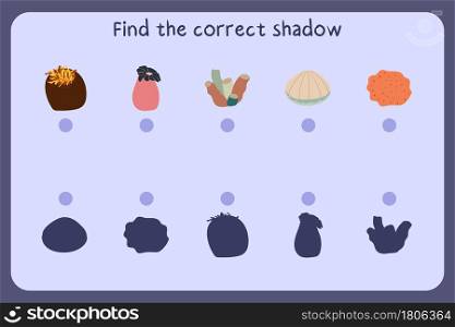 Matching children educational game with sea animals - sea anemone, coral, shall, sponge. Find the correct shadow. Vector illustration.. Matching children educational game with sea animals - sea anemone, coral, shall, sponge.