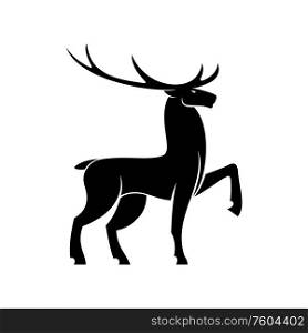 Mature deer stag isolated animal silhouette. Vector elk stag, wildlife reindeer. Deer or elk isolated horned animal silhouette