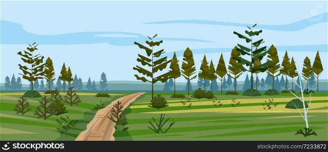 Meadow and forest landscape nature, spruce pine trees, grass and bushes. Panorama scenery lonely path road. Meadow and forest landscape nature, spruce pine trees, grass and bushes. Panorama scenery lonely path road. Vector illustration banner poster template trendy style