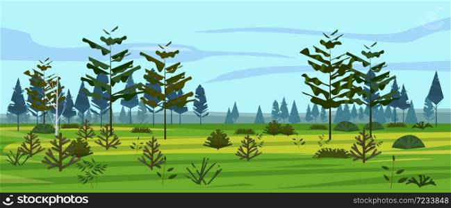 Meadow and forest landscape nature, spruce pine trees, grass and bushes. Panorama scenery. Meadow and forest landscape nature, spruce pine trees, grass and bushes. Panorama scenery. Vector illustration banner poster template trendy style