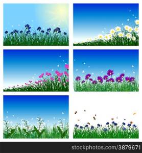 Meadow color background set with sun. All objects are separated. Vector illustration with transparency and mesh. Eps 10.