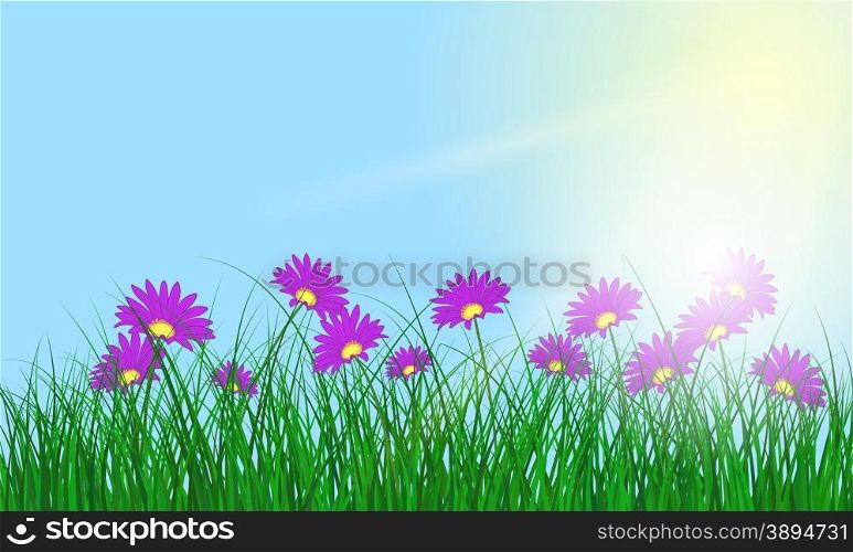 Meadow color background with and sun. All objects are separated. Vector illustration with transparency and mesh. Eps 10.