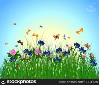 Meadow color background with and sun. All objects are separated. Vector illustration with transparency. Eps 10.