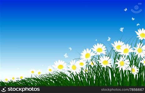 Meadow color background with butterflies and chamomiles. All objects are separated. Vector illustration with transparency. Eps 10.