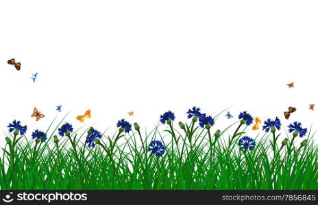 Meadow color background with butterflies and cornflowers. All objects are separated. Vector illustration. Eps 10 without transparency.