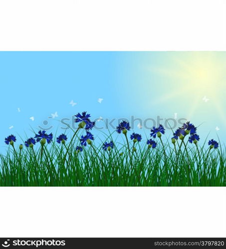 Meadow color background with sun. All objects are separated. Vector illustration with transparency. Eps 10.