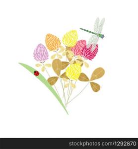 Meadow delicate bouquet with spring flowers and insects butterflies, dragonflies and beetles, spring pattern, for postcards, packaging, web design, vector illustration